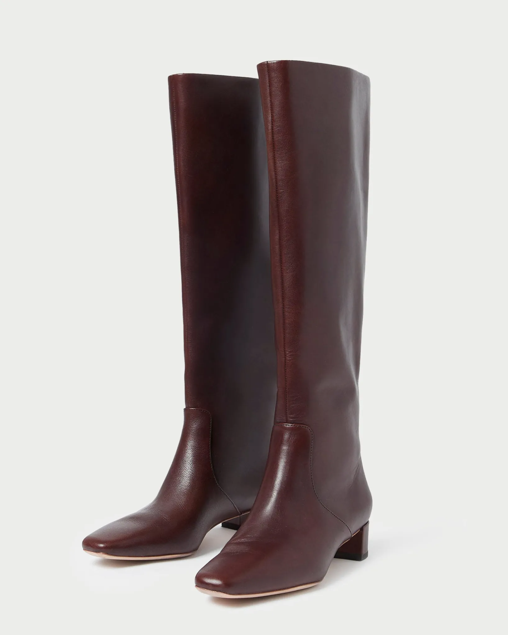 New Loeffler Randall Indy Tall Boot Cacao